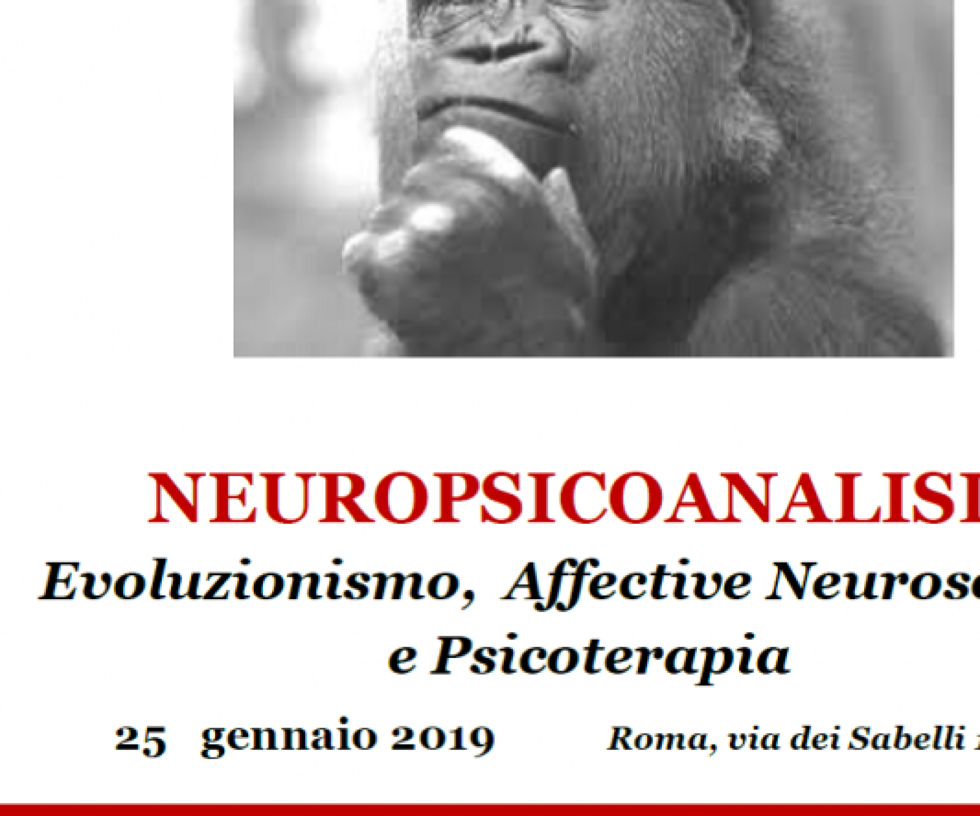 NEUROPSICOANALISI. Evoluzionismo, Affective Neuroscience