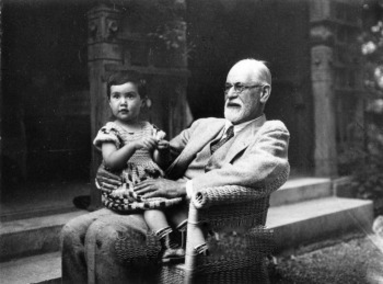 M. Schur "Il caso Freud - Una biografia scritta dal suo medico"